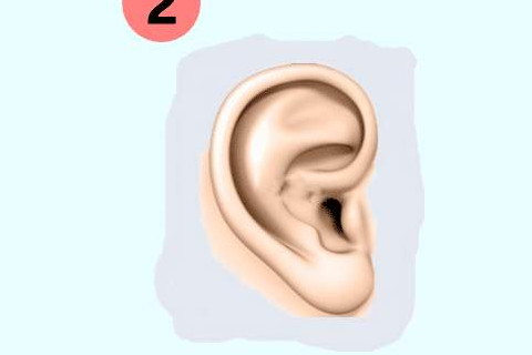 耳朵小而薄的女人面相命运如何