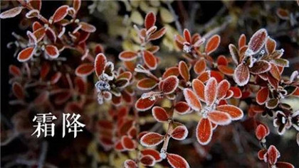 霜降日那天几点几分是霜降时辰？霜降有什么禁忌？