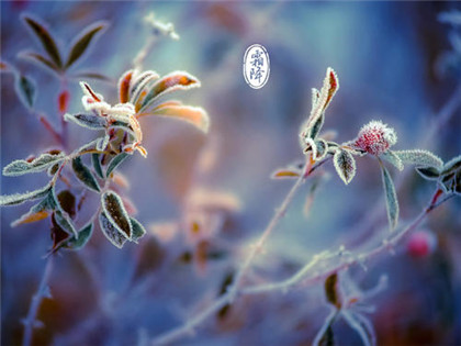 霜降节气有什么风俗？霜降节气吃什么风俗食物？