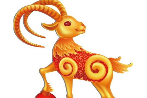 属龙的和属羊的相配吗