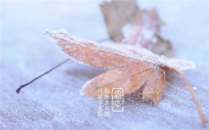 2020霜降节气为什么要吃鸭肉?关于霜降的谚语有哪些?