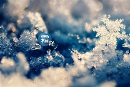 2020霜降节气为什么要吃鸭肉?关于霜降的谚语有哪些?