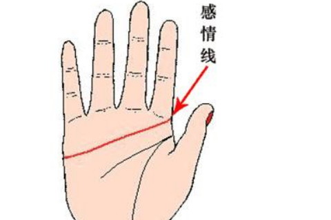 男人必定离婚的手相特征
