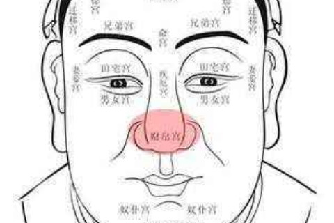如何从人的面相看财运