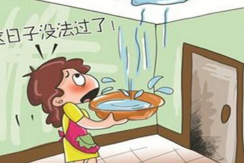 梦见家里没人
