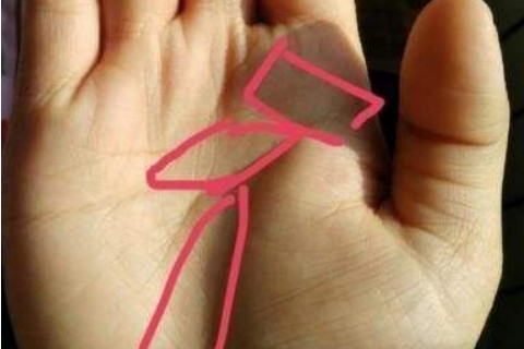 女人手相事业线很长好不好