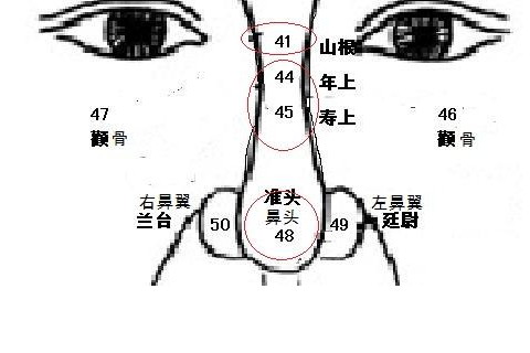从面相来说鼻子中间有节命运如何_学搭配运势网
