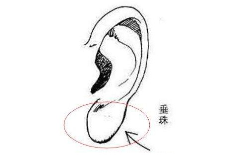 招风耳的运势好吗