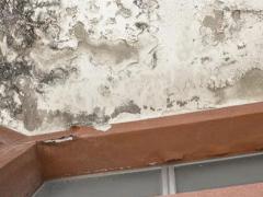 梦见墙上漏雨