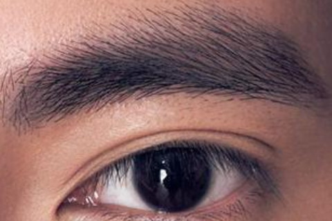 男人眉毛上翘的面相好吗