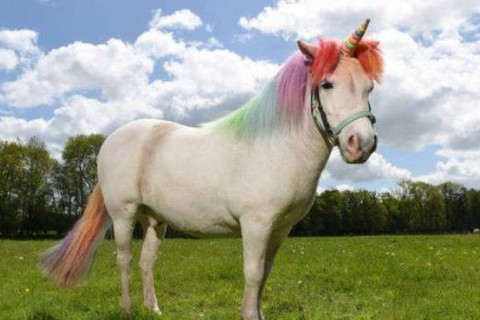 属马男人想放弃婚姻的表现