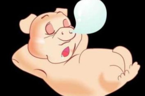 如何才能管好属猪男