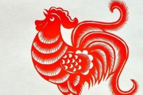 生肖鸡的理财投资注意事项