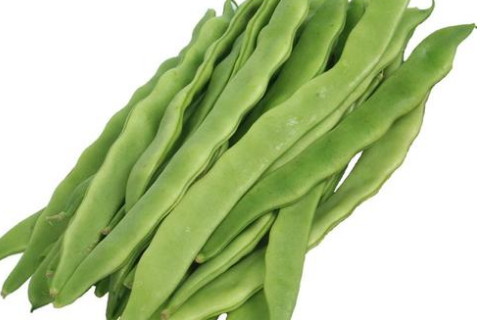 梦见偷豆角