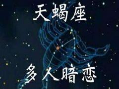 天蝎男最爱哪种类型的女生