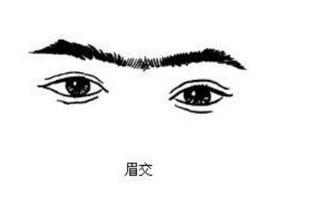 眉毛连在一起面相算命