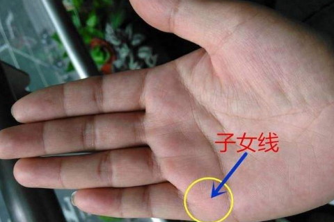 男人最不好的手相大揭秘