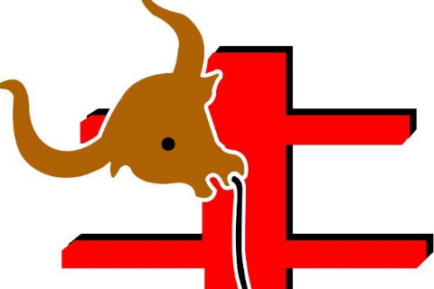 属马的人2021年犯太岁吗,今年运势如何化解