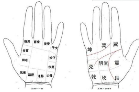 男人手相怎么看寿命长短