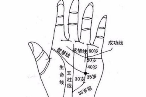 怎么看男人大富大贵手相