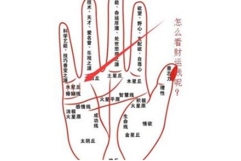 哪几种的男人手相注定有钱