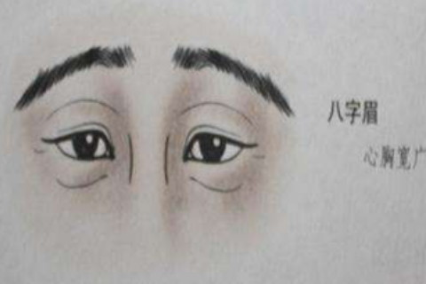 八字眉毛的男人命运好不