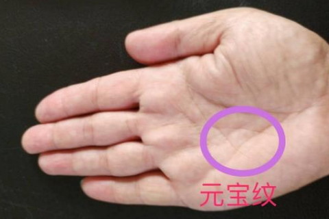 从手相事业线看人一生命运