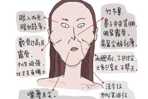 颧骨尖突的女人是克夫相拥有这样面相特点的女人做事