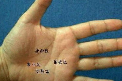 暴发户的手相有此掌者天生富贵命