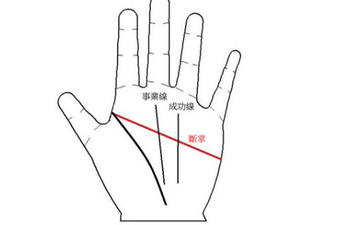 男人断掌相图解大全