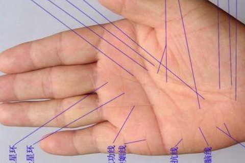 手相手指长的命运好吗