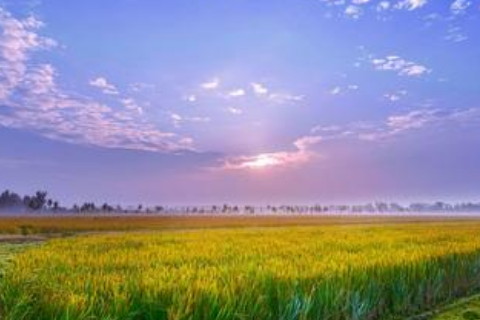 6月20日生人命运怎么样