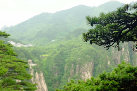 辛酉年出生人的命运如何 
