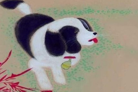 1982年属狗几月出生好