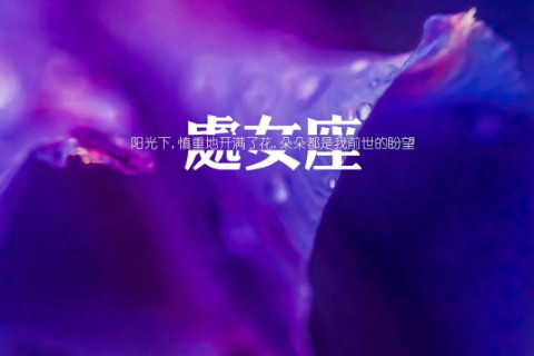 处女座会选择面包还是爱情