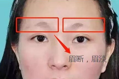 眉毛淡的面相命运不好吗