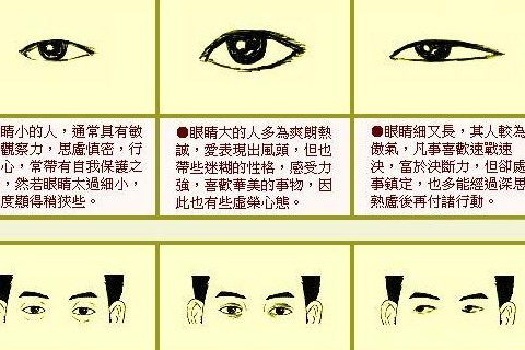 男生眼型的分类图解图片