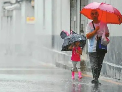 梦见雨中前行