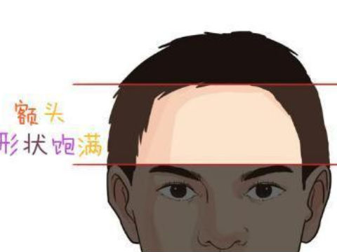 额头高的男人面相如何