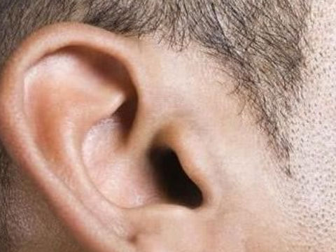 男人耳朵硬代表什么意思
