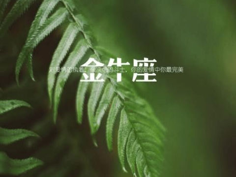 金牛座的性格适合什么样的表白方法