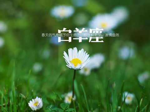 什么样风格的白羊座女生最受男生欢迎