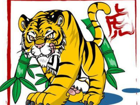 2022年属虎本命年需要注意什么,虎年本命年有什么讲究