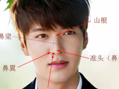 鼻梁塌陷面相代表了什么运势鼻梁塌一生命苦吗