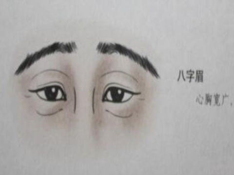 男人从眉毛看面相有何说法