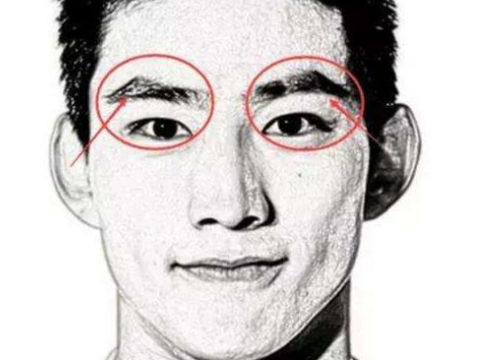 眉毛短的男人面相有何说法