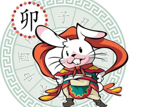 属兔和属虎的婚配好吗