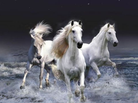 属马和属龙的婚配好吗