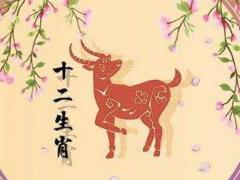 独一无二属羊男人的性格和脾气