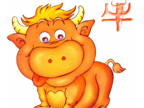 2022年生肖牛四大运势具体有何表现